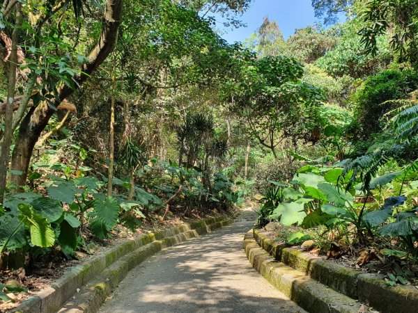 松柏嶺登廟步道1188982