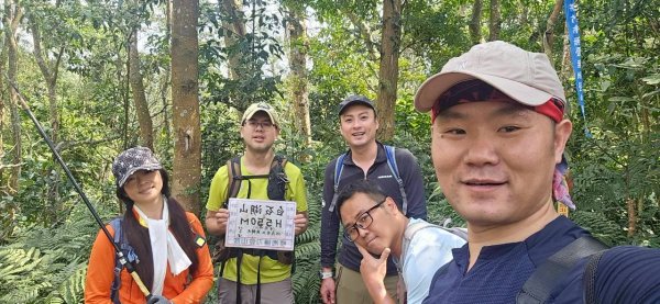 20260308內灣三山(內灣山-麥樹仁山南峰-麥樹仁山-舊砲台山-加那排山-白石湖山)3013423