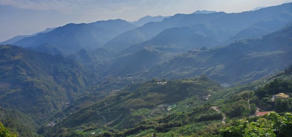 2021-04-11馬那邦山登山步道1346411