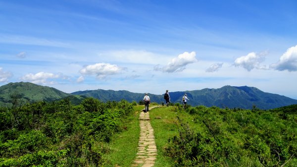五指邁向擎天冷水坑封面