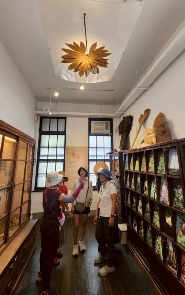 雨天備案💙 台灣博物館的古生代館-台大動植物館免費參觀-北投♨️季2808842