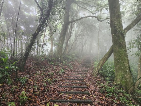 小百岳No.36⛰關刀山3050464