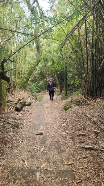 2026-0116 大屯三山_貴子坑_北投2984769