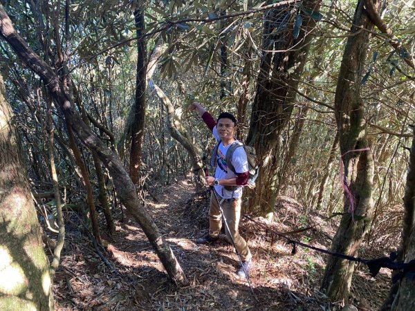長壽山-醜崠山-鳶嘴山【既優雅又狂野的另類選擇】2673969