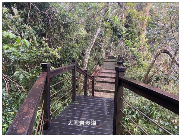 太興岩步道、萬鷺朝鳳、巧雲小棧 (嘉義 梅山)2886384