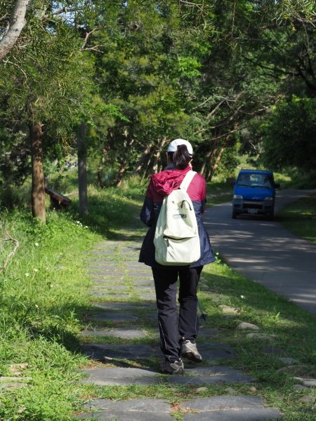 《台中》龍井竹坑南寮登山步道O型915480