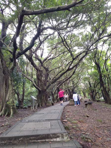 虎頭山小路亂走975333