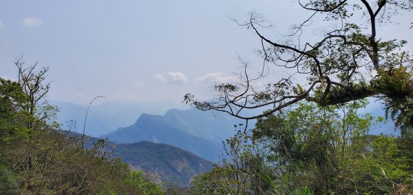 2023-04-03鳴海山、網子山登山步道2094981