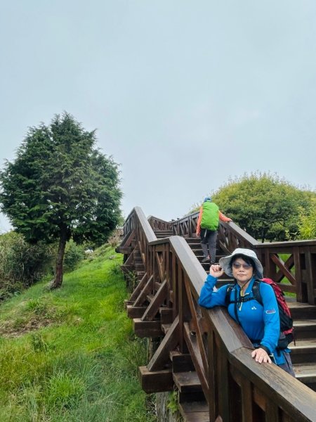阿里山小笠原祝山森林遊3091587