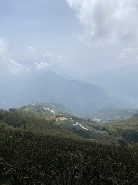 大尖山3060386