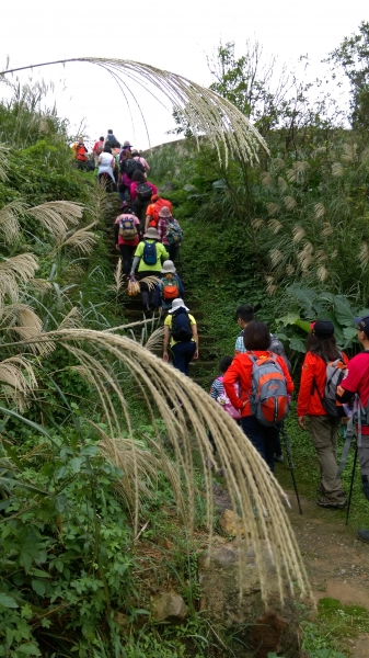 Merrell野人幫─山尖古道77099