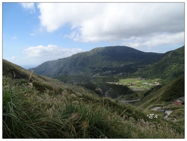 台北/七星山登山步道730538