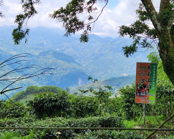 【中級山縱走】雲嘉八連峰（後棟仔山，大尖山，二尖山，馬鞍山，梨子腳山，太平山，大巃頂山及其西北峰）2821132