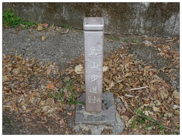 三峽/鳶山彩壁(小百岳)787869