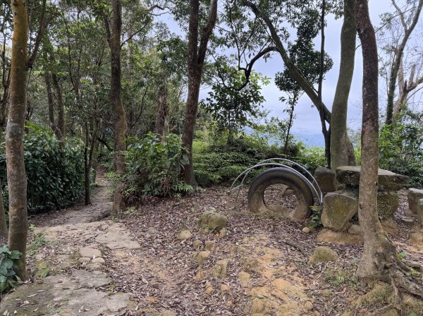 [微笑山線_第四段] 2026_0321 天上山系_三粒半3021070