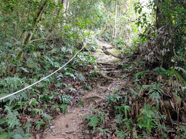 暗影山(小百岳#44)步道 2020/10/171429187