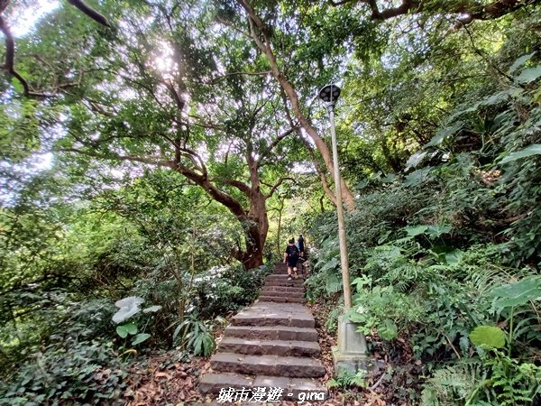 【新北八里】搭捷運公車爬山趣。 小百岳集起來。編號05小百岳-八里觀音山(硬漢嶺步道)1759644
