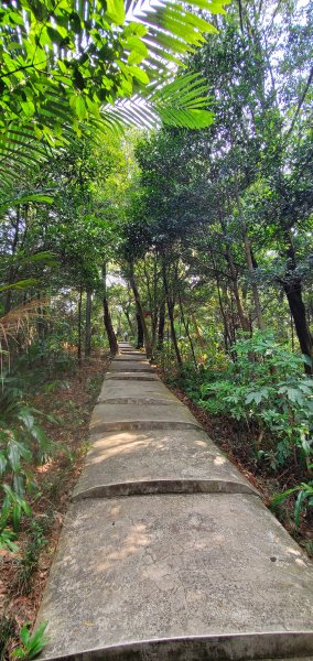 2021-09-20紅淡山登山步道1465681