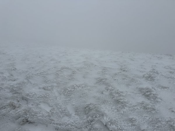 南二段撤退行2743040