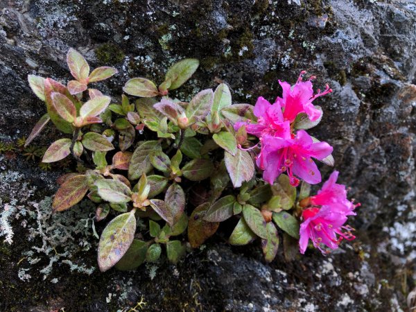 202505八大秀2874045