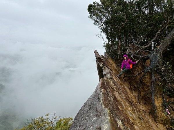 北得拉曼-20204062859895