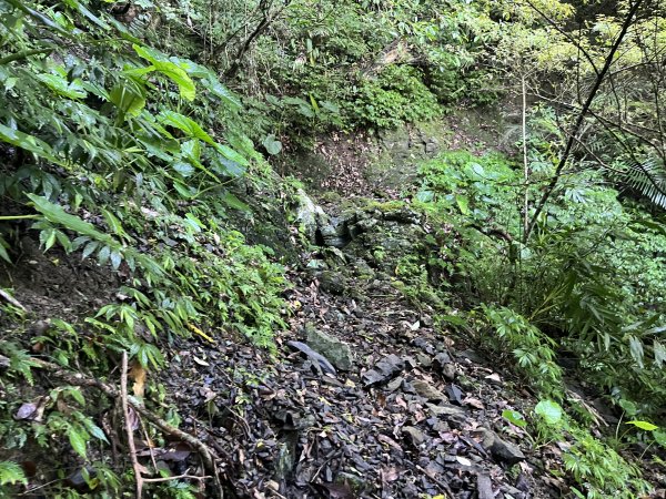 [淡蘭古道] 2025_0802 南路第四段2850825