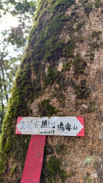 六龜警備道/茂林段/網子山～鳴海山2708192