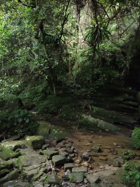 微笑山線：【二格山系】銀河洞越嶺段2959989