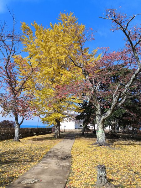 【日本健行】岡山、彥根 (近江八幡、彥根城)、姬路(書寫山圓教寺、世界遺產姬路城、好古園)2946505