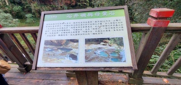 2023-01-01杉林溪青龍蕨類步道(青龍瀑布)、松瀧岩瀑布及天地眼步道1978858