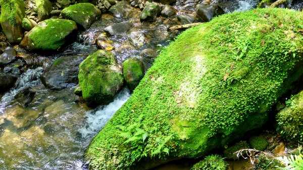 畝畝山。又上說2768144