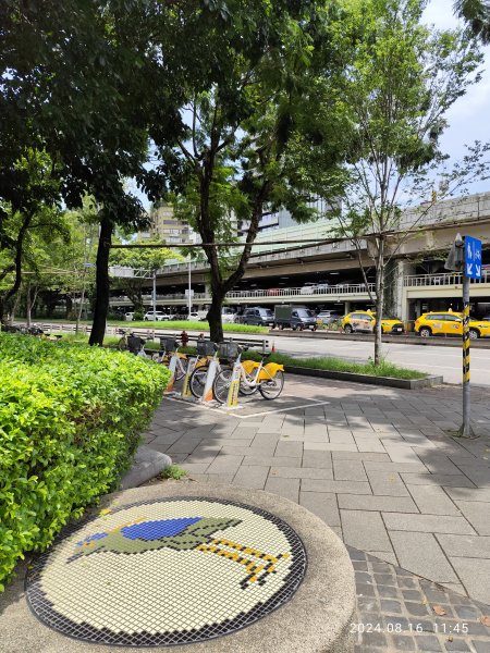 大安森林公園、永康公園、大港墘公園 - 內科嘉年華會 戲曲•特技之夜2577759