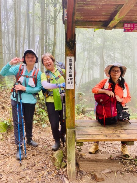 豹牙登山口上鳳凰山/小百岳#533069708