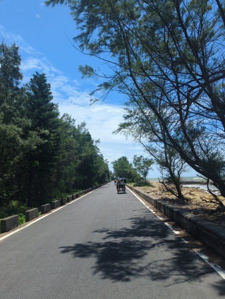 2025.07.26－霄裡好風光：觀音~新屋自行車道2847843