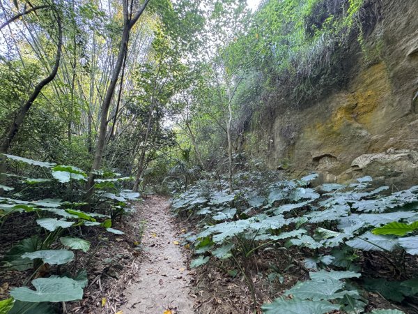 彰化一線天2657568