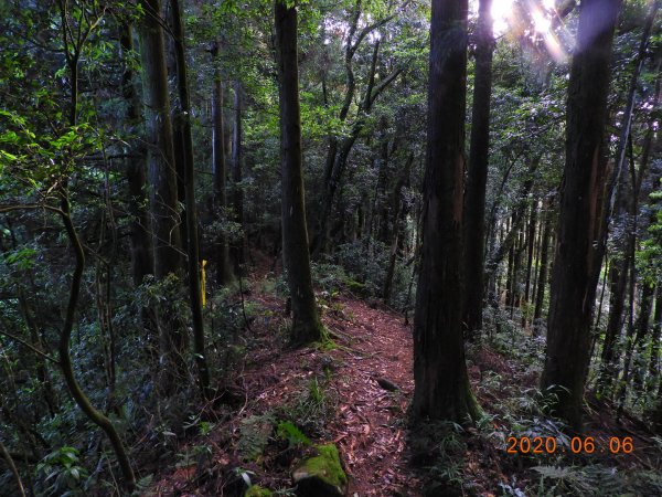 新竹 五峰 鳥嘴山、鵝公髻山986656