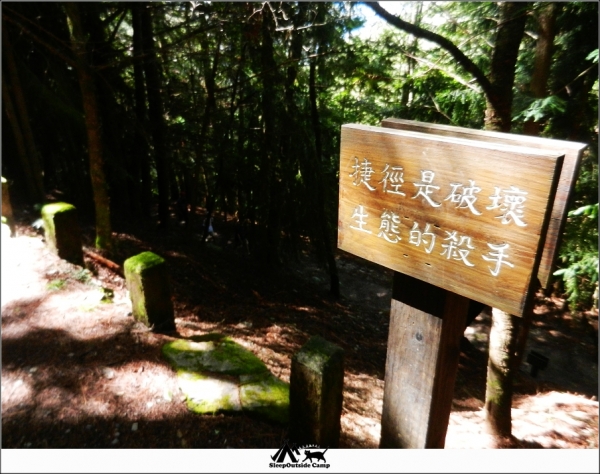 台中武陵桃山瀑布(桃山步道)259593