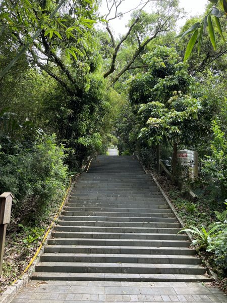 台北大縱走第七段1666228