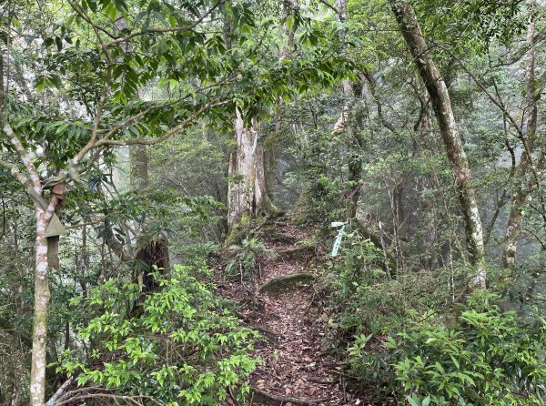 2025_0622 霞喀羅大山2819208