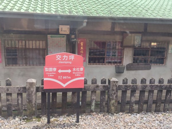 阿里山森林小火車2865031