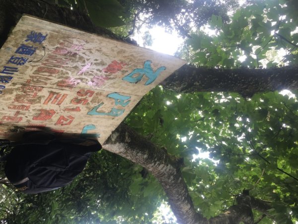 石大佛（石門山、大竹坑、佛陀世界2528046