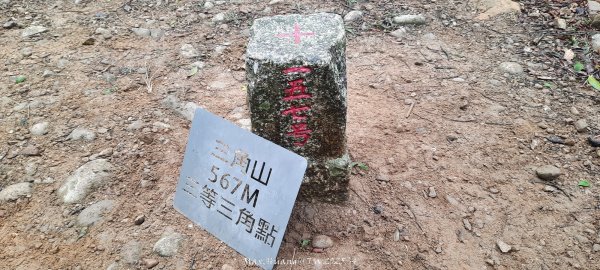 《苗栗》霧雨寒流｜三義三角山步道202512252969237