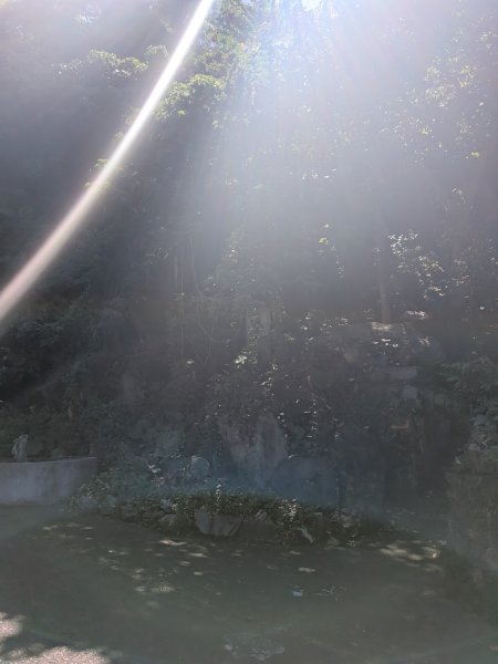 2025-10-10 國慶日看飛機2915388