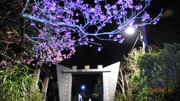 觀音山日出雲海+觀音圈+下弦月+曙光火燒雲&太平濱海步道晚霞海霧&琉璃光2/182035149