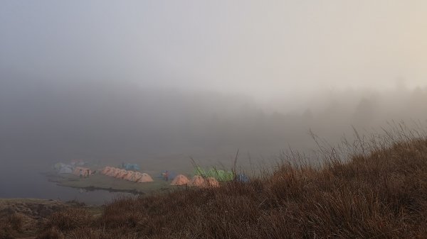 仙女散落的珍珠2723942