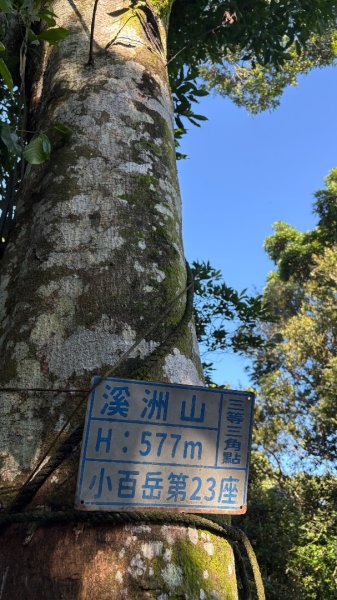 亂走3082237