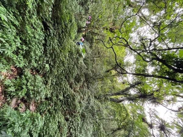 20230821_烏山-外澳古道2762697