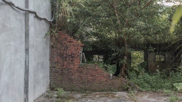 2026微笑山線：【五分山系】望古瀑布段3092119
