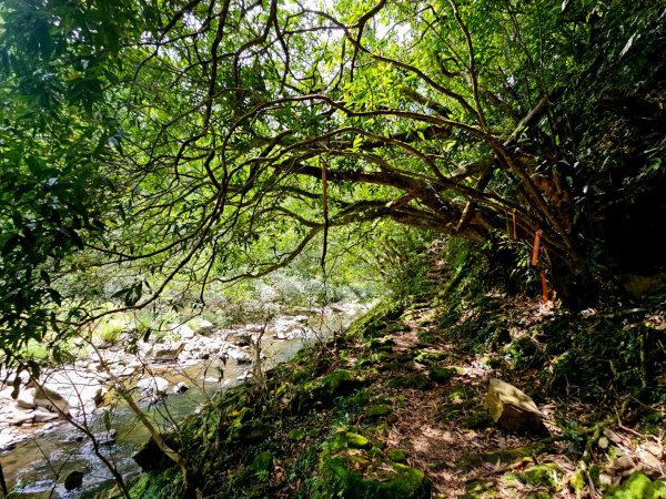 淡蘭中路第四段：威惠廟至灣潭古道登山口(崩山坑線)2882714