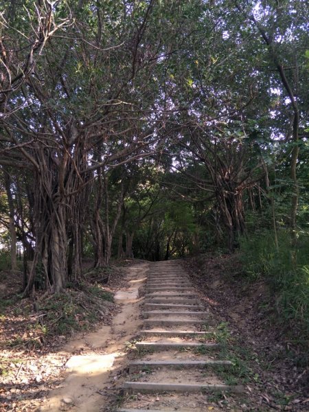 鳳凰山步道1518209